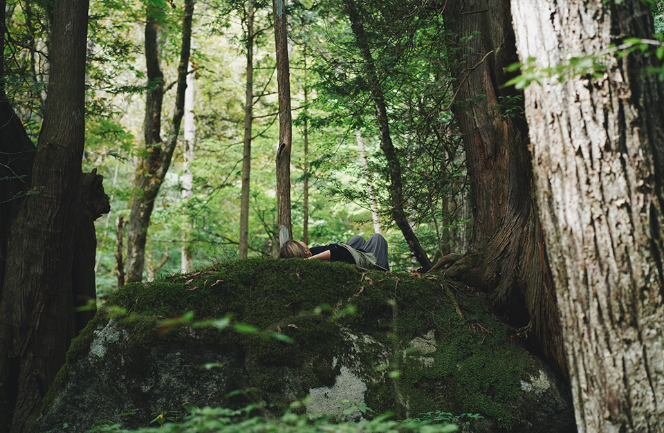 GWのデトックス