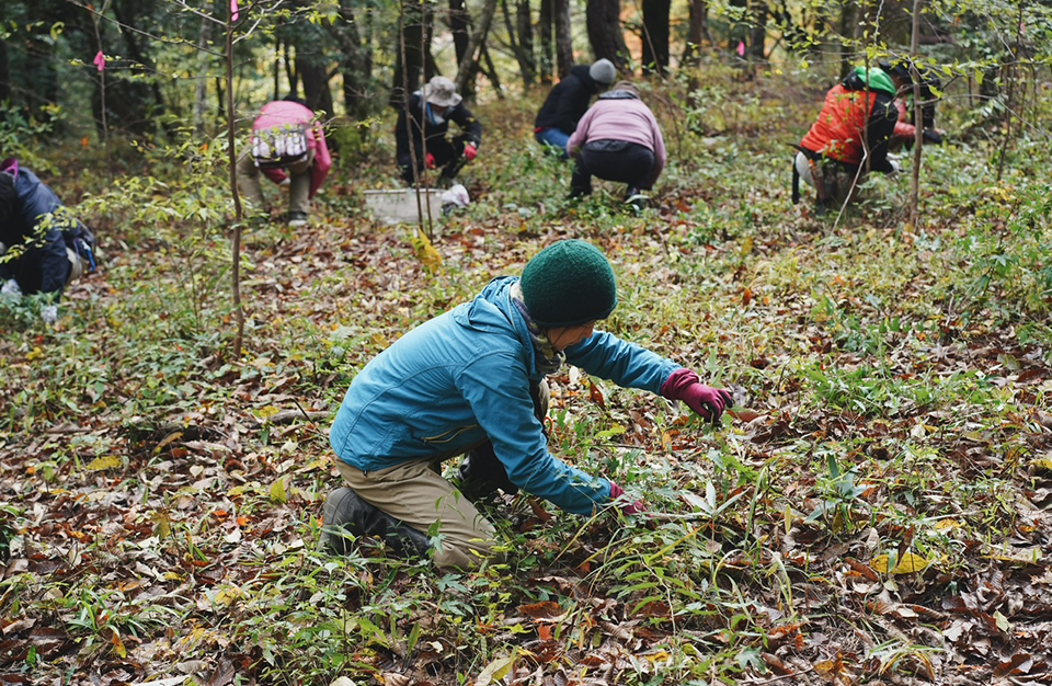 『命をやしなう森』を、つくる。