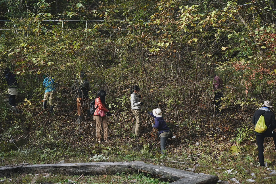 『命をやしなう森』を、つくる。